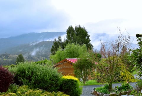 Natural landscape, Hiking, Garden view, Mountain view