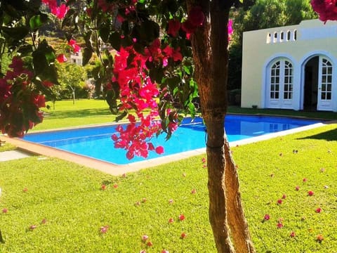 Casa da Portada House in Madeira District