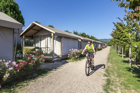 Spring, Day, People, Cycling, group of guests