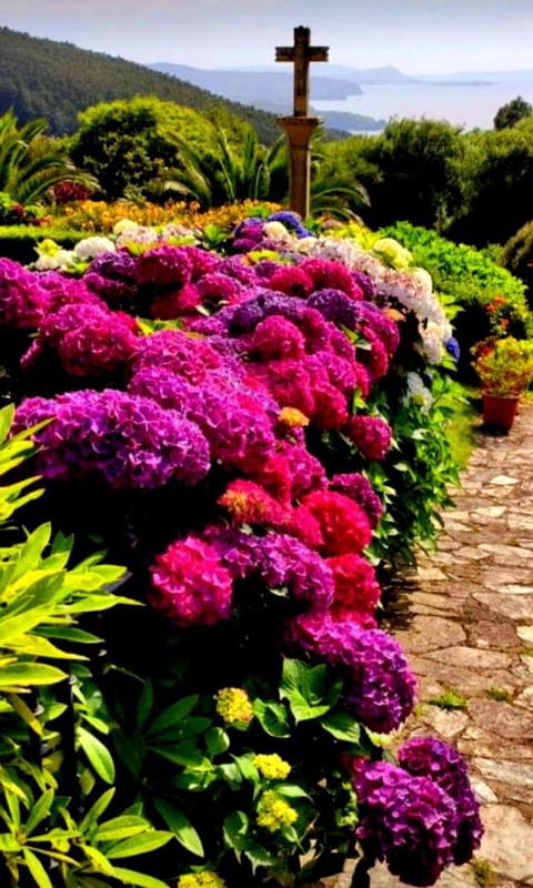 Garden, Sea view