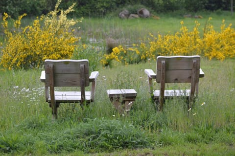 Natural landscape, Garden, On site