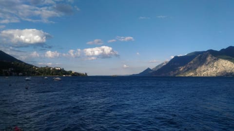 Spring, Summer, Autumn, Lake view