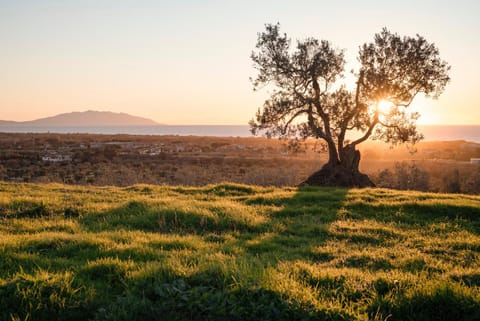Natural landscape, Sea view, Sunset