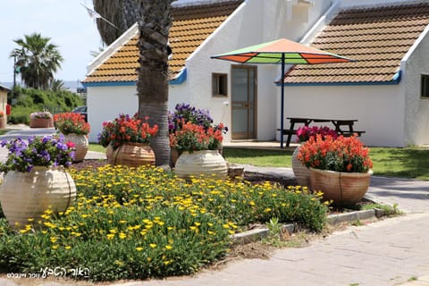 Dor Country Lodging Campground/ 
RV Resort in Haifa District
