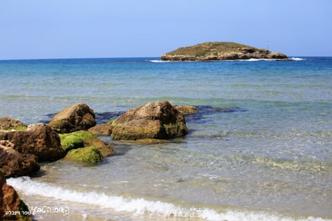 Natural landscape, Beach