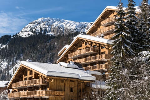 Property building, Natural landscape, Winter