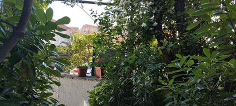 Apartment Maskaric Apartment in Cavtat