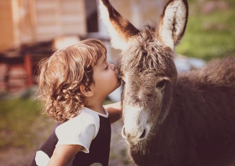 Animals, children