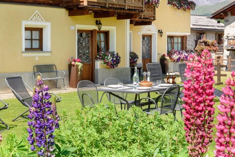 Property building, Facade/entrance, Summer, Garden, Garden, Mountain view, Mountain view