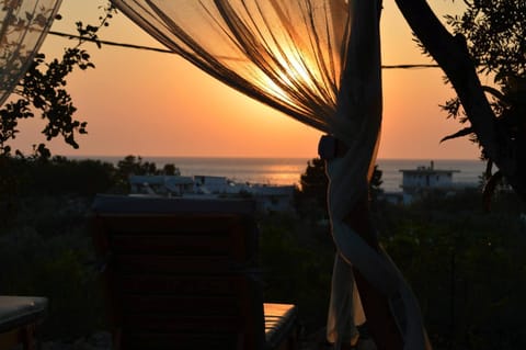 Property building, Summer, On site, Sunset