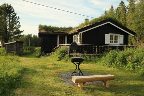 Property building, Garden, flat iron