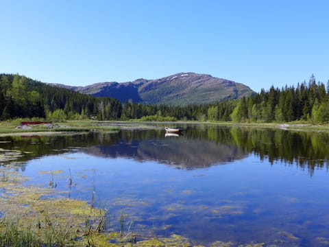 Natural landscape, Fishing, Lake view, Mountain view