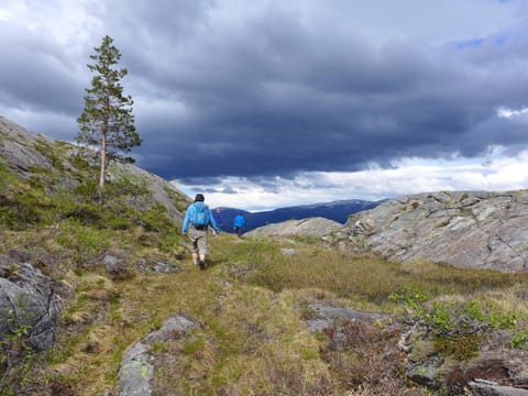 Summer, Hiking