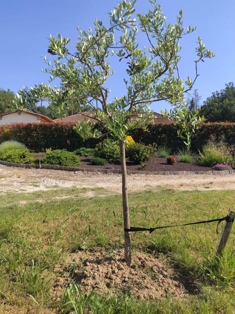 L'Ansolane House in French Riviera