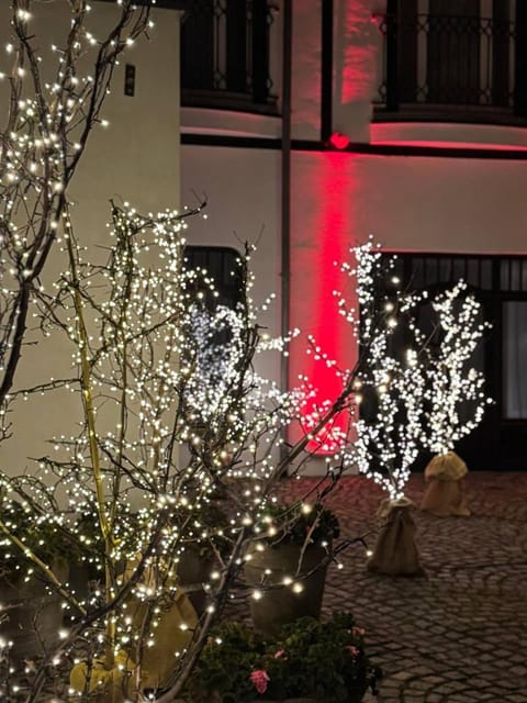 Property building, Night, Garden, Garden view