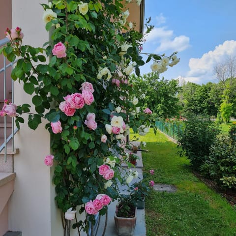 A casa di Albino e Giovannina House in Friuli-Venezia Giulia