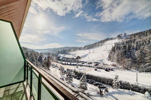 Property building, Natural landscape, Winter, View (from property/room), Balcony/Terrace, Hiking, Mountain view