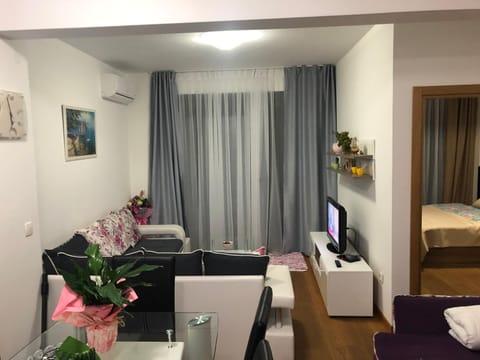 Apartment Veselin Condominio in Budva