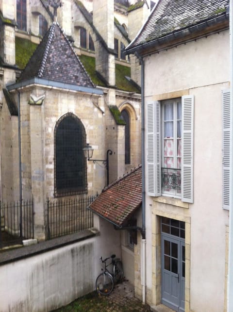 Le Nid De La Chouette Apartment in Dijon