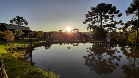 Garden, Lake view