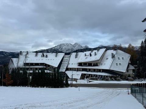 Property building, Winter, Sauna, Mountain view, Mountain view, Family, Family