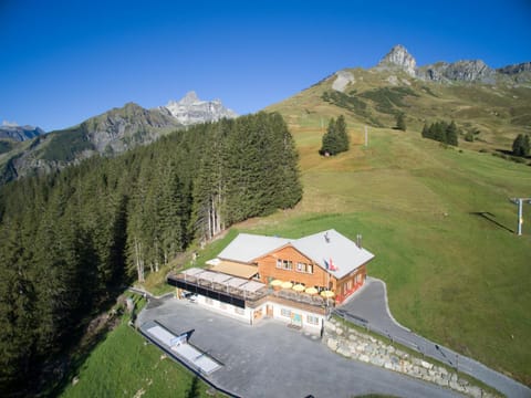 Neighbourhood, Natural landscape, Bird's eye view