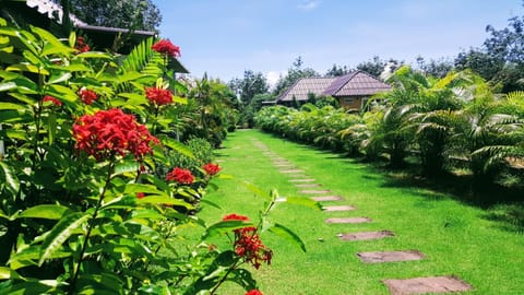 Day, Garden, On site