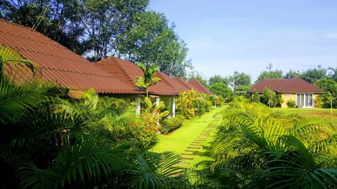 Garden, Lobby or reception, On site, Garden view