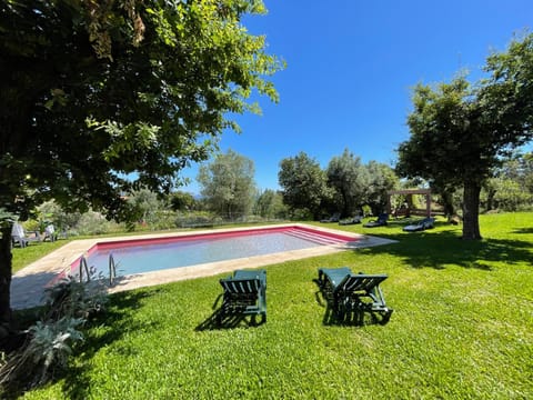 Day, Natural landscape, Garden, Garden view, Pool view, Swimming pool, sunbed