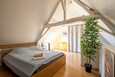 SOUVENIRS VIEUX LILLE Apartment 2 Chambres 24H24H Access Condo in Lille