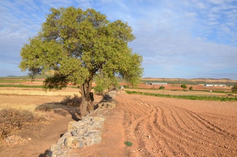 Nearby landmark, Natural landscape, Hiking