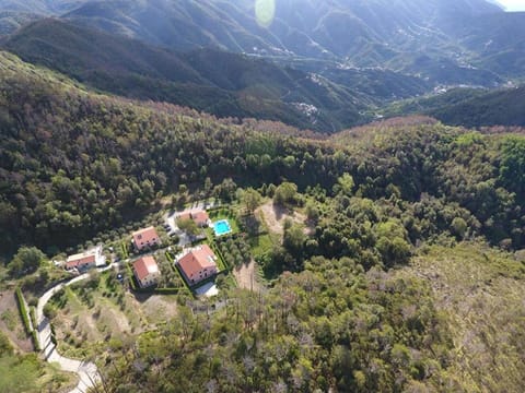 Neighbourhood, Natural landscape, Bird's eye view