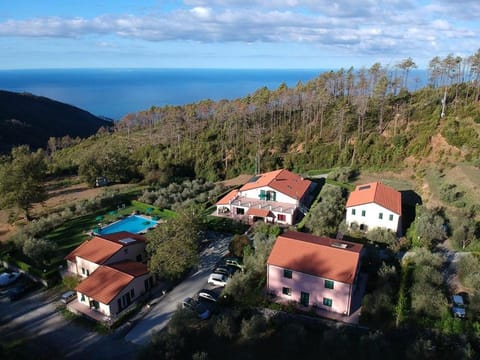Neighbourhood, Natural landscape, Bird's eye view, Summer, On site