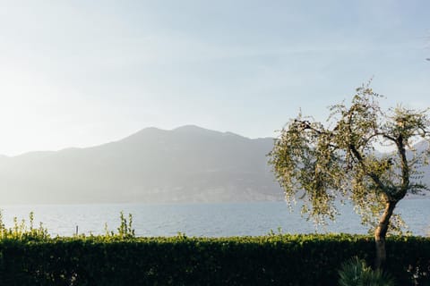 Natural landscape, Garden, Lake view, Mountain view