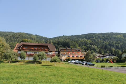 Property building, Day, Garden