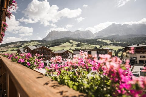 Summer, Mountain view