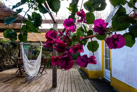 Patio, Garden, Garden view