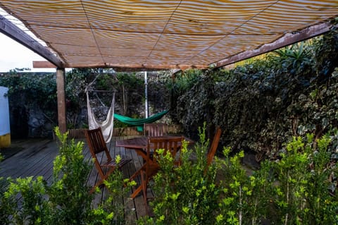 Patio, Garden, Dining area