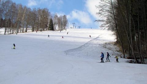 Winter, Ski School, Skiing