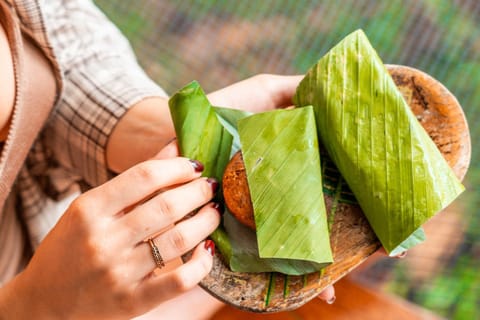 La Loma Jungle Lodge and Chocolate Farm Auberge in Bastimentos Island