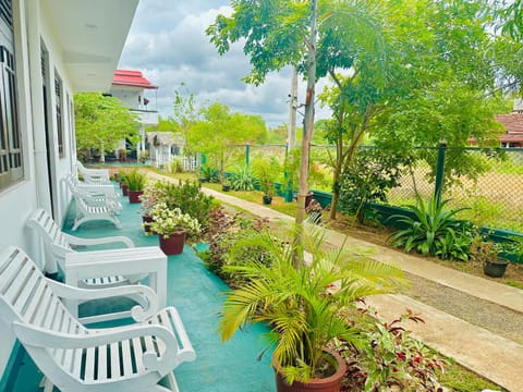 Day, Garden, Garden view