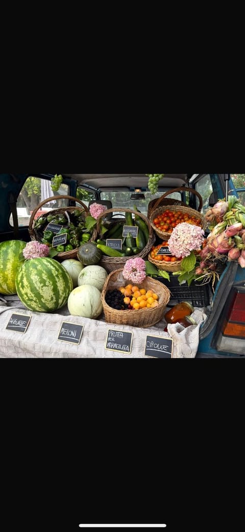 Agriturismo Corte San Girolamo Farm Stay in Mantua