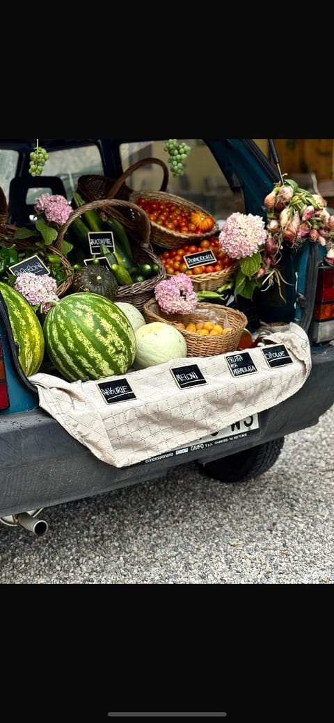 Agriturismo Corte San Girolamo Farm Stay in Mantua