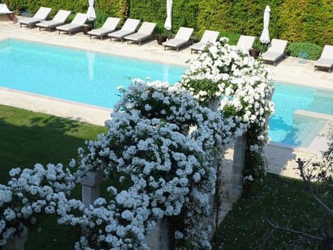 Bird's eye view, Garden, Pool view, Swimming pool, Swimming pool