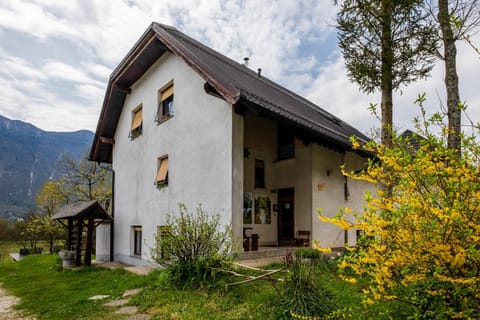 Property building, Facade/entrance, Garden