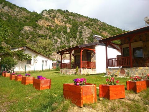 Garden, Mountain view