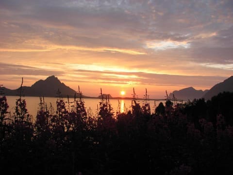 Skjellbogen Hyttegrend Nature lodge in Nordland, Norway