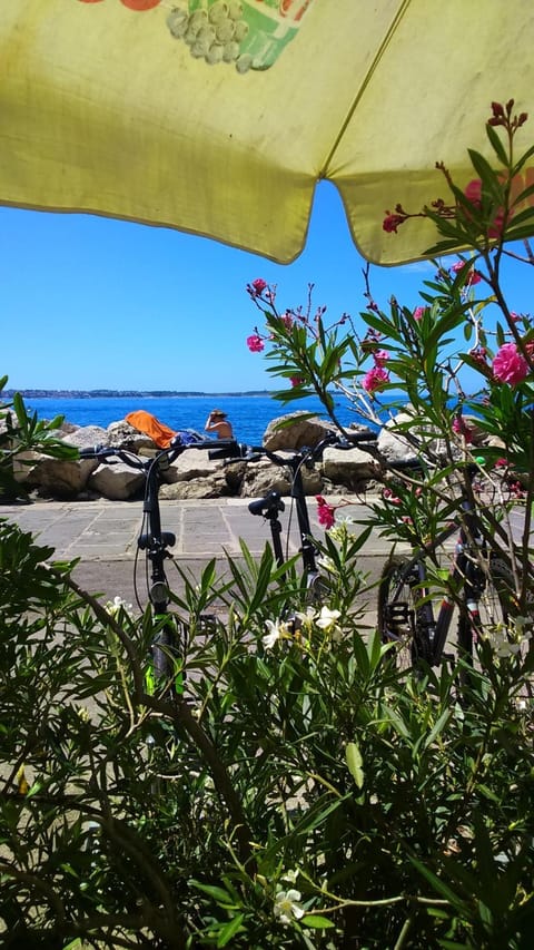 Sea view
