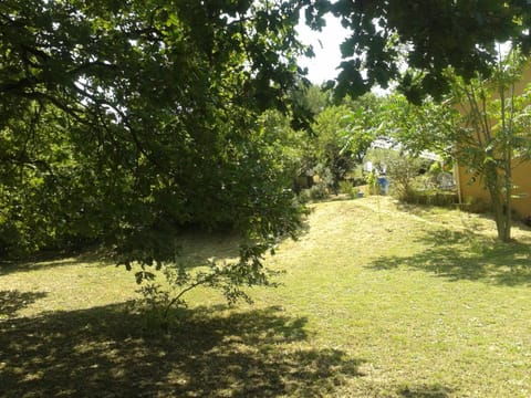 Pets, Garden view