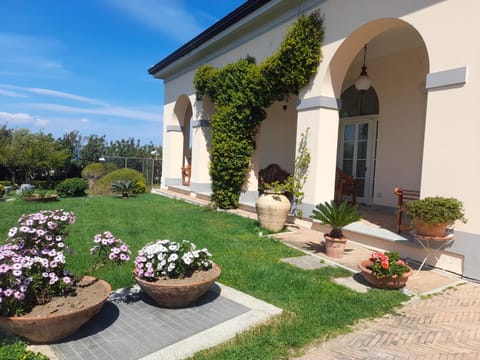 Property building, Spring, Day, Garden, Garden view